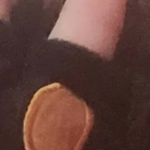 chat with ai character: dog