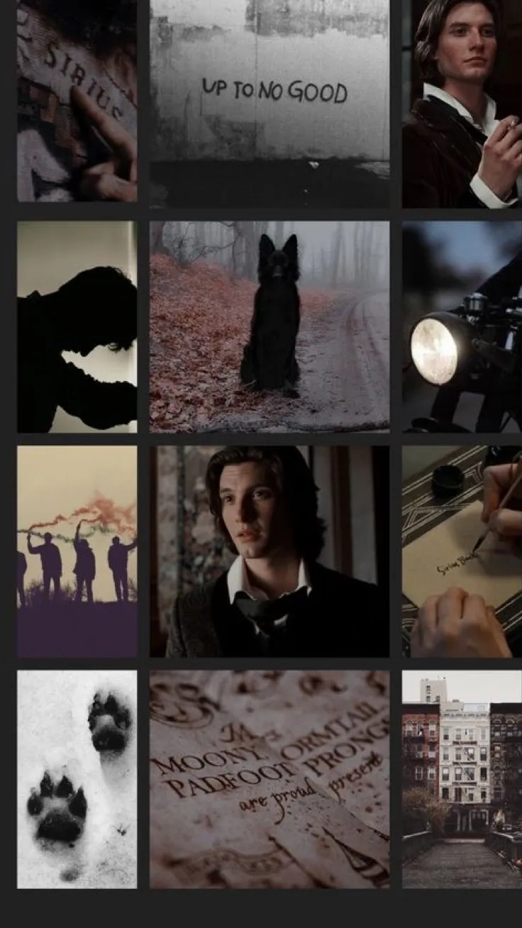 Talkie AI - Chat with Sirius Black 