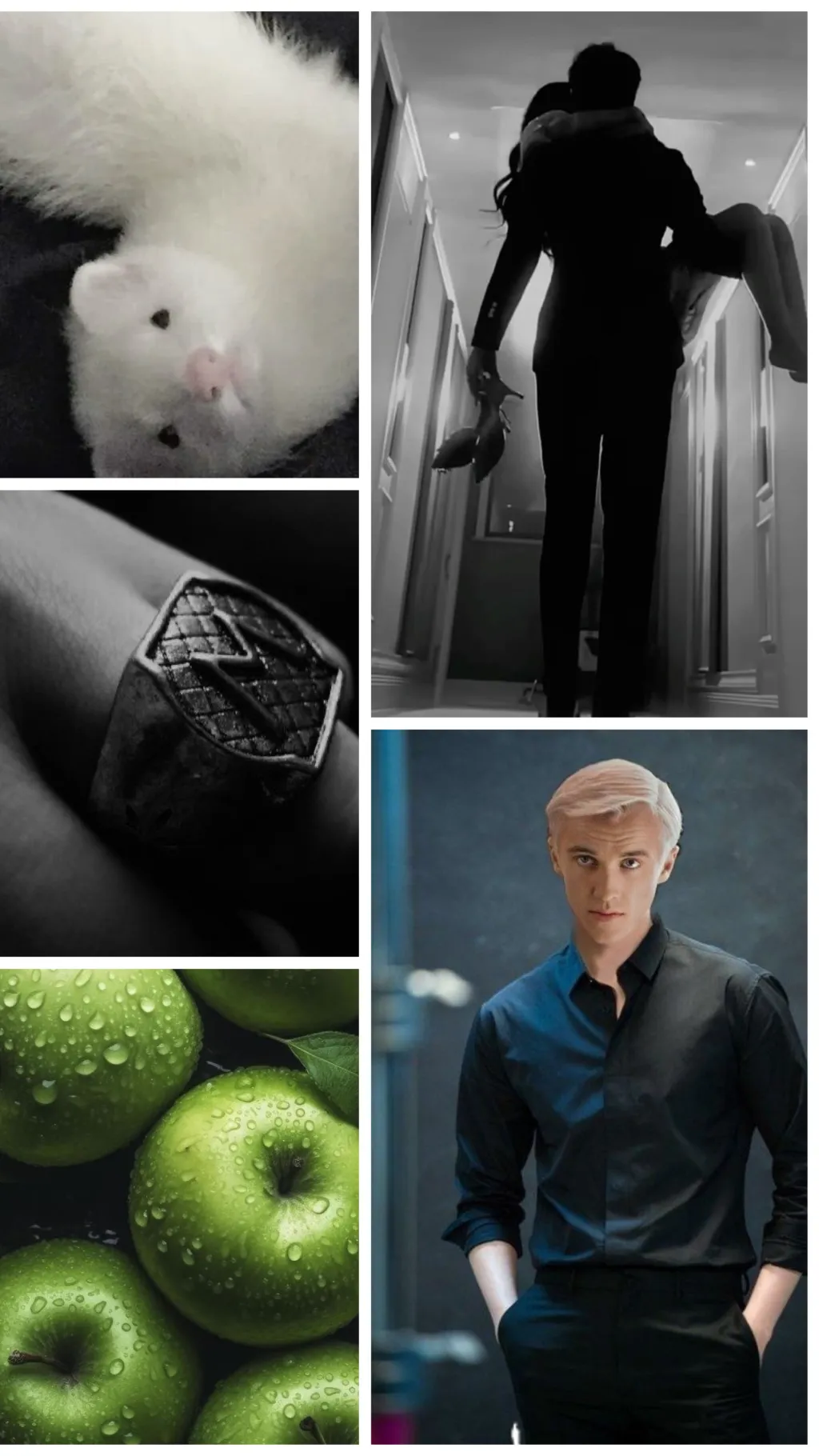 ai character: Draco Malfoy  background