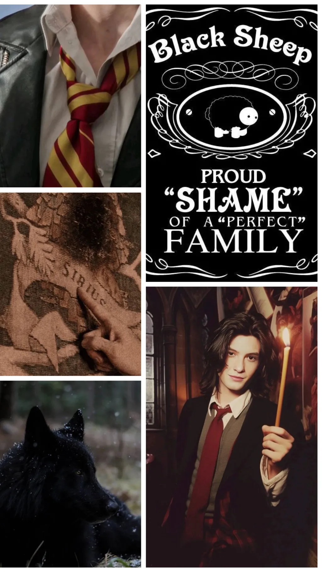 ai character: Sirius Black background