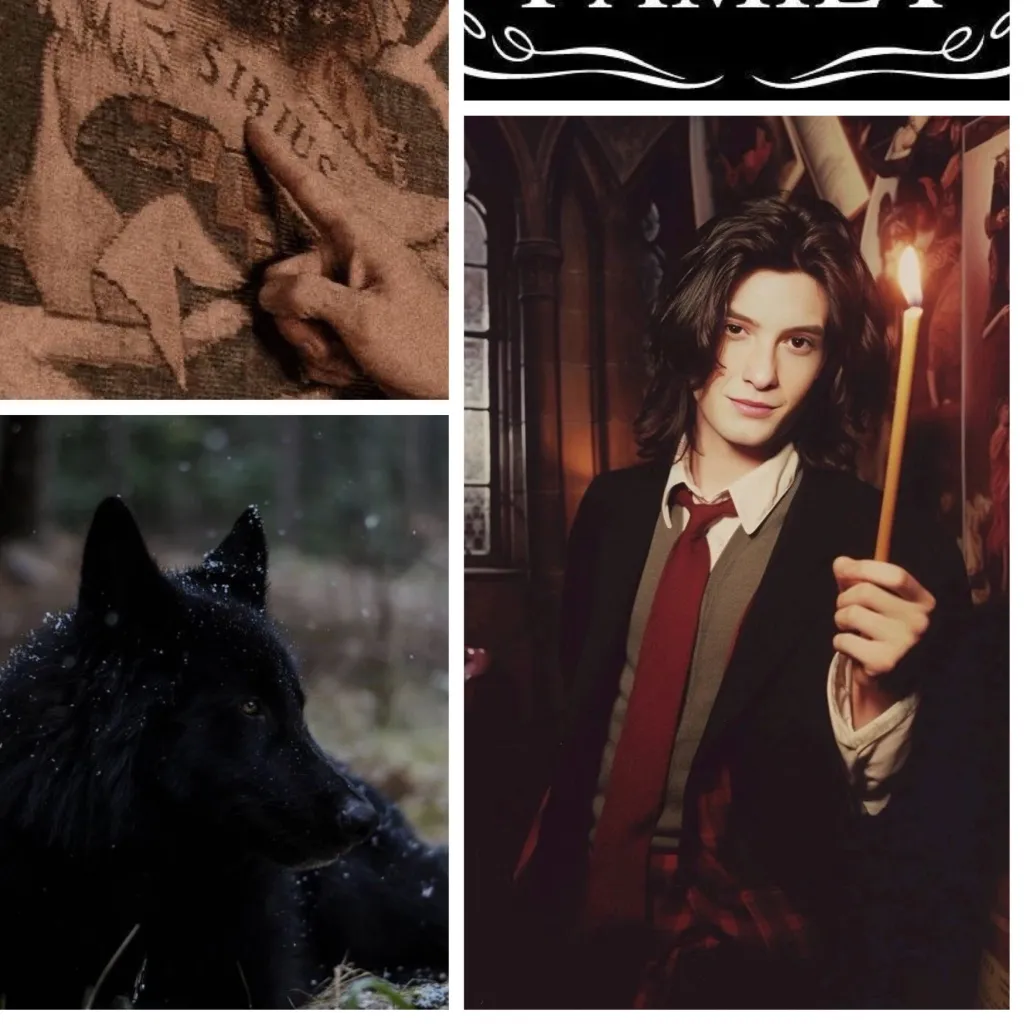 chat with ai character: Sirius Black