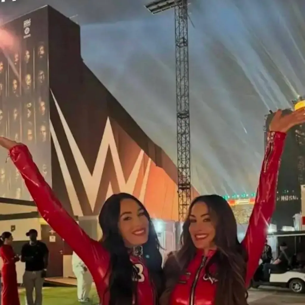 chat with ai character: Bella twins 