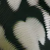 chat with ai character: Ur tiger jellybean