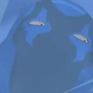 chat with ai character: Blue Beetle 