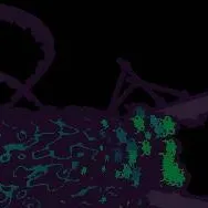 chat with ai character: rainworld leviatha