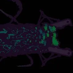 chat with ai character: rainworld leviatha