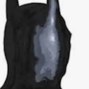 chat with ai character: aquilidur