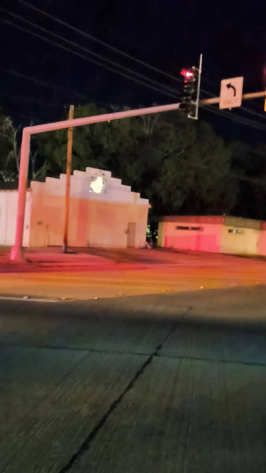 ai character: Bella background