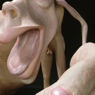 chat with ai character: Sensory Homunculus