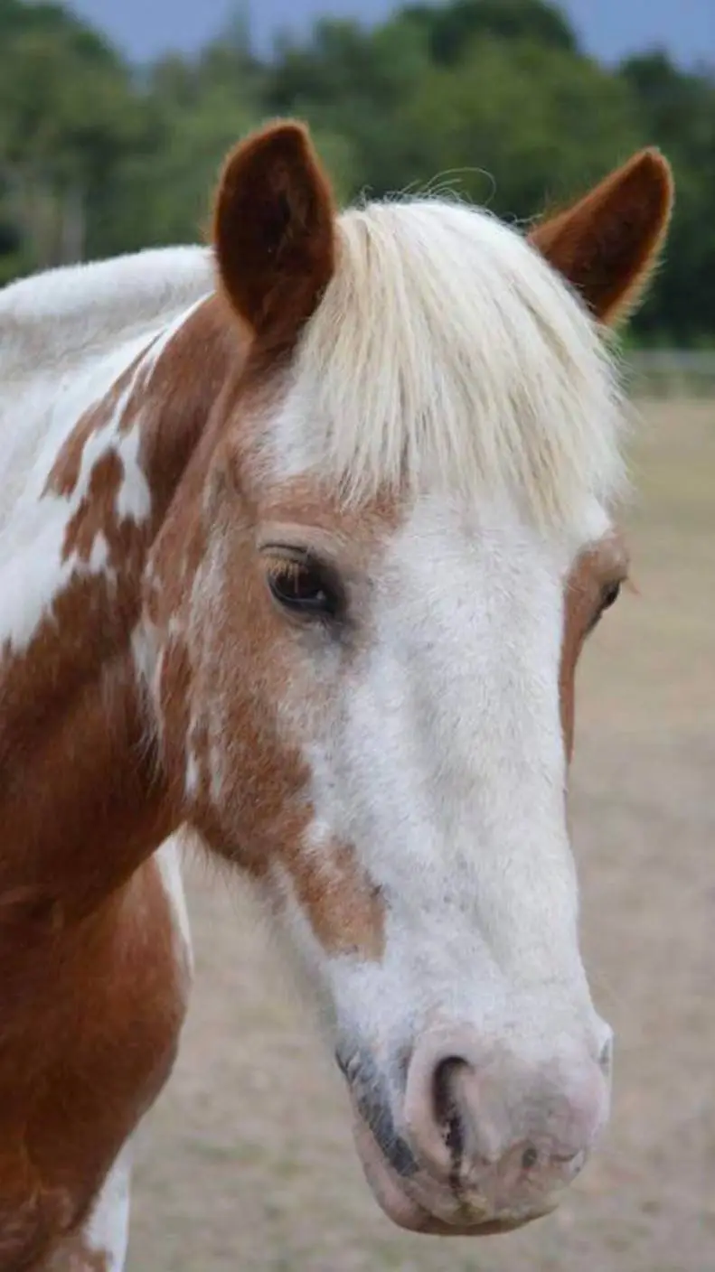 ai character: Rain background