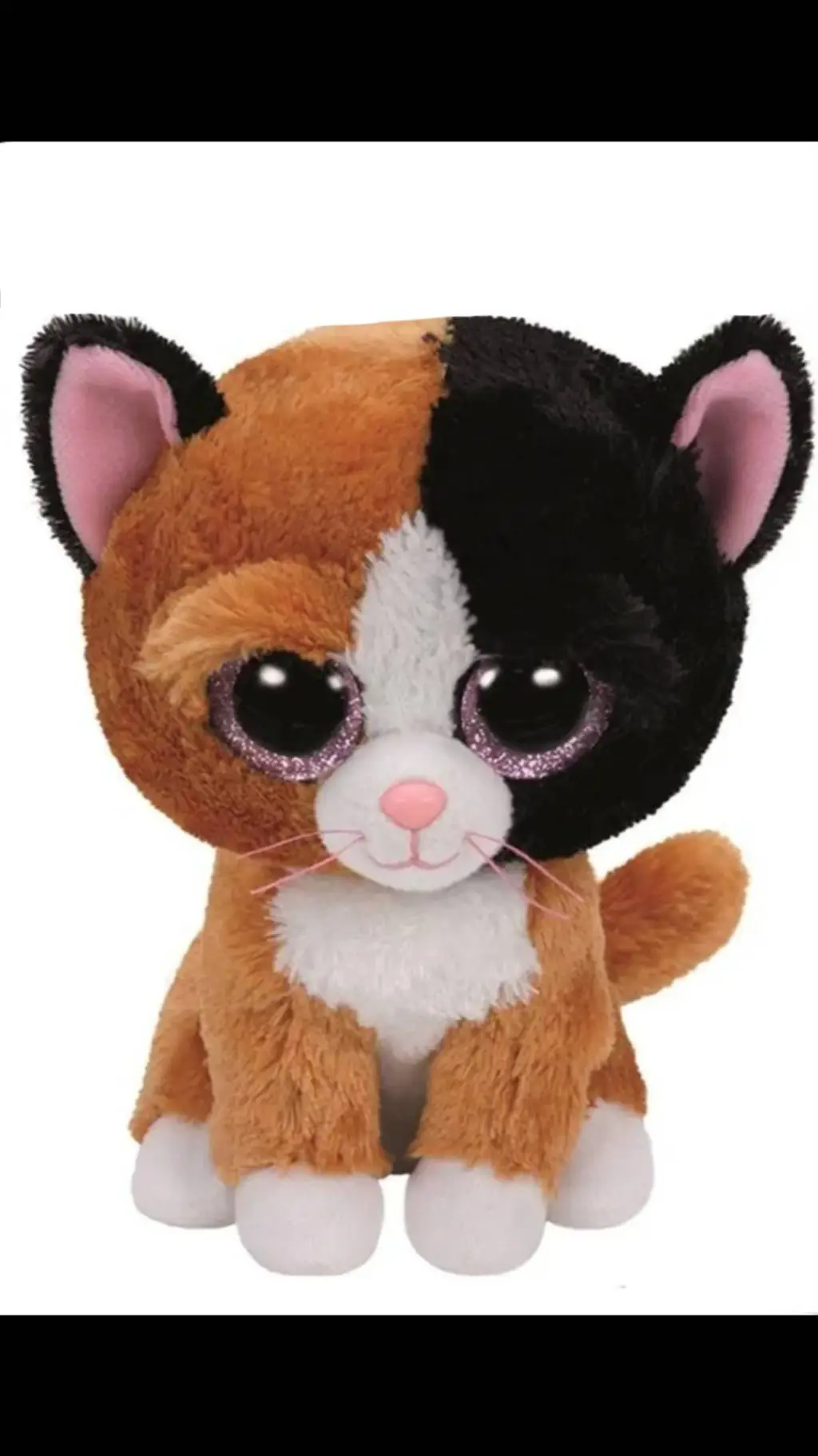 ai character: pual🤎🖤🐱 background