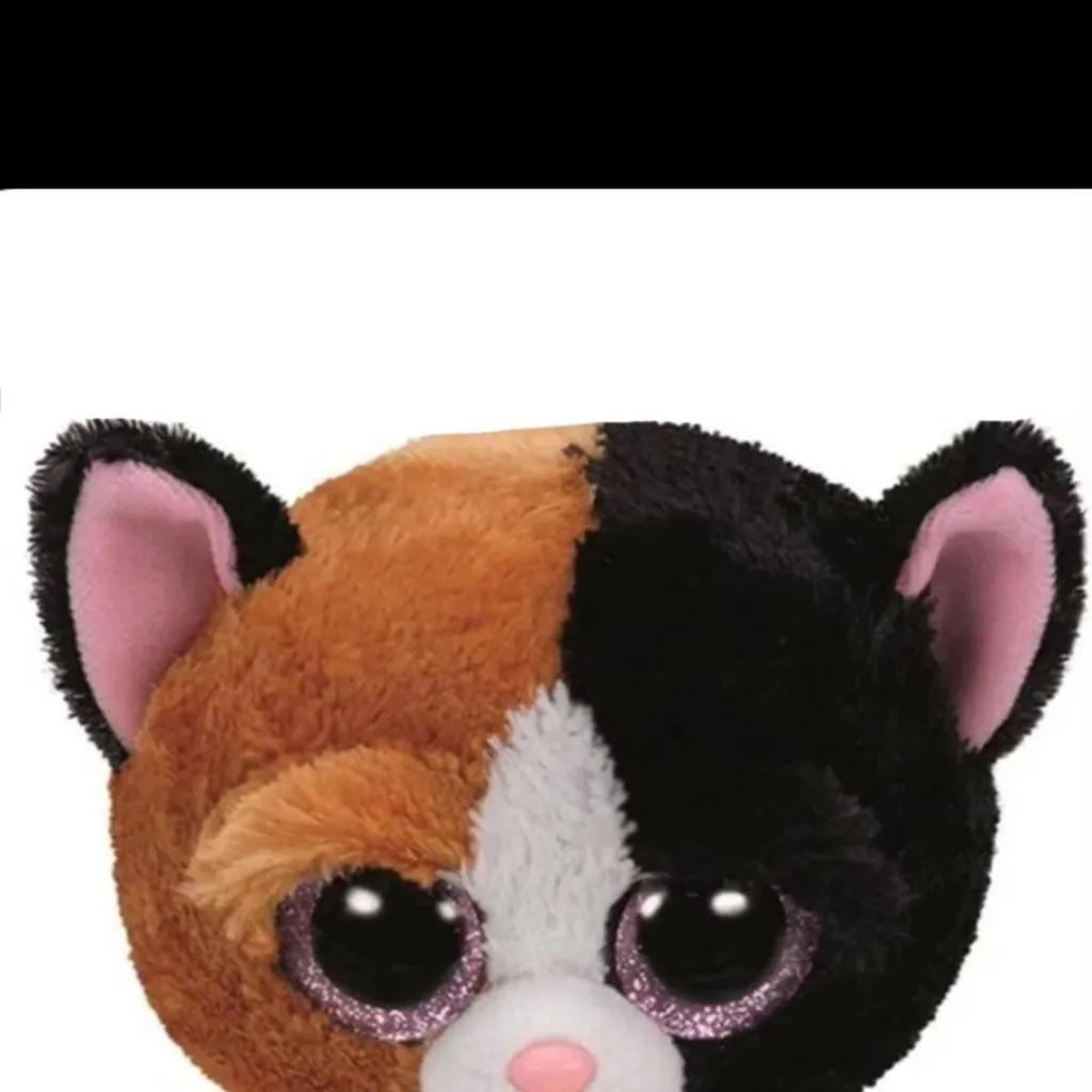 chat with ai character: pual🤎🖤🐱