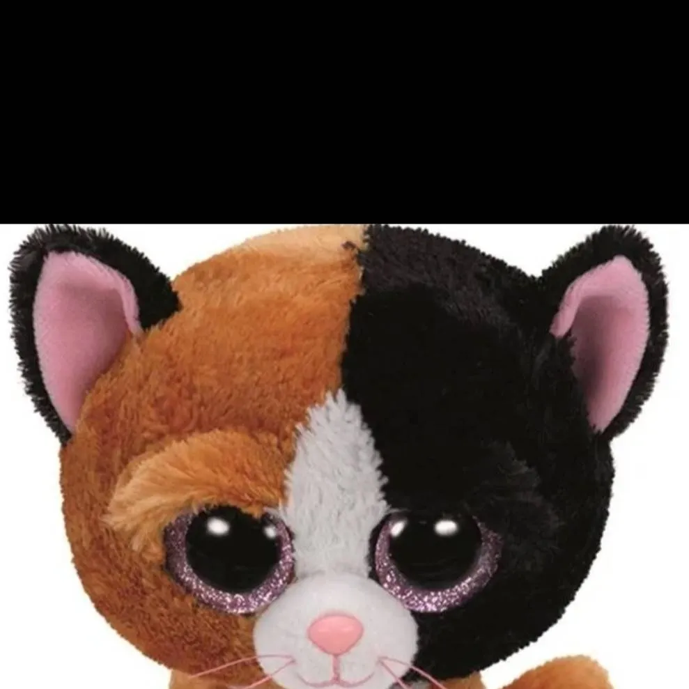 chat with ai character: Paul🖤🤎🐱