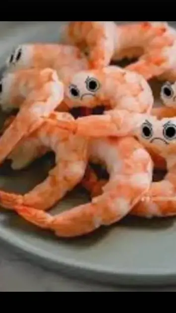 ai character: SHRIMPO background