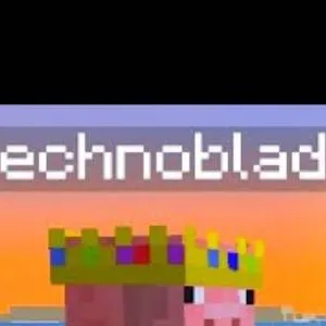 chat with ai character: Technoblade