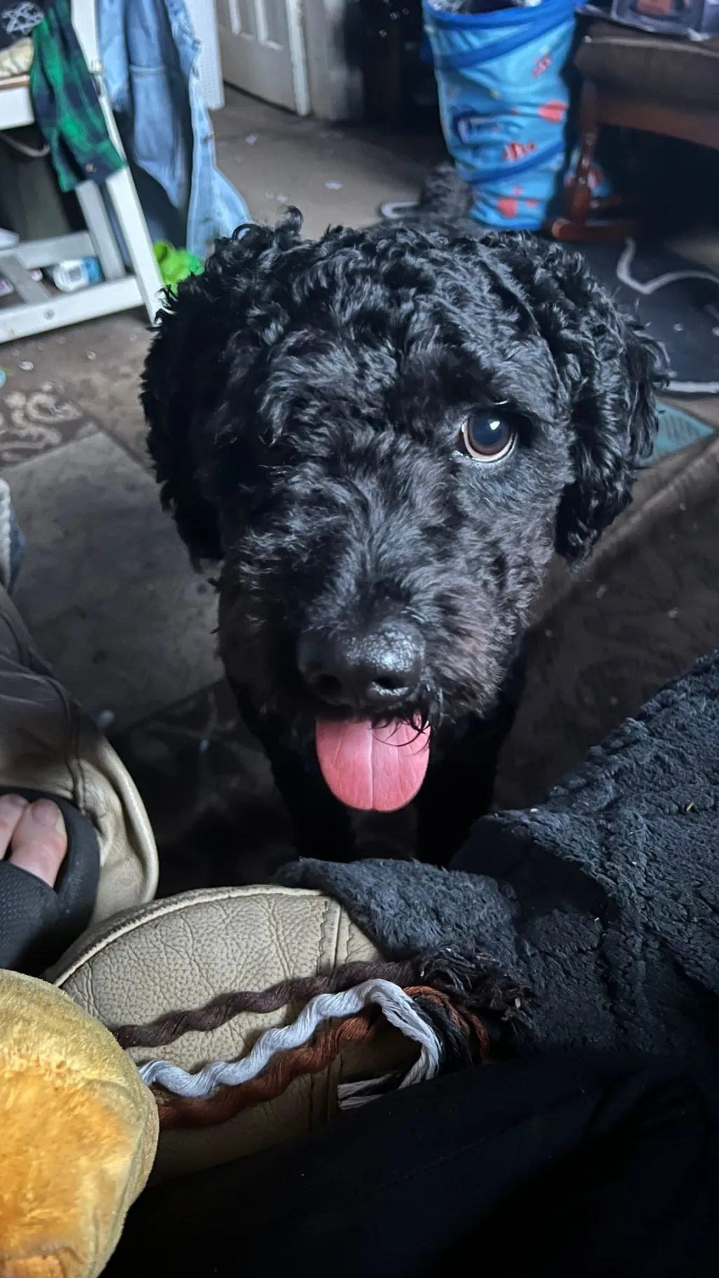 ai character: Shay background