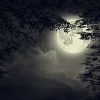 chat with ai character: Baki Hanma 