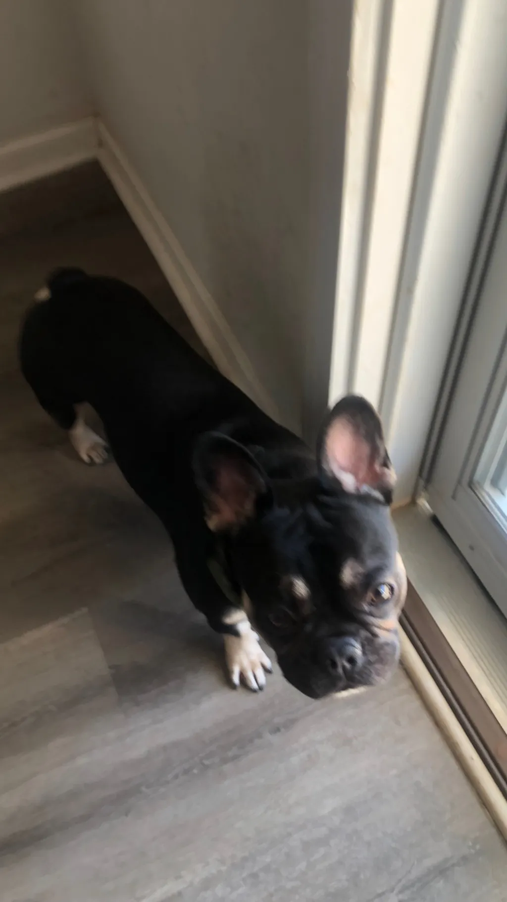 ai character: Red  background