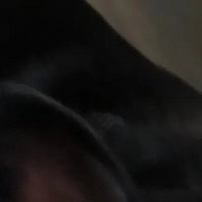 chat with ai character: Red 