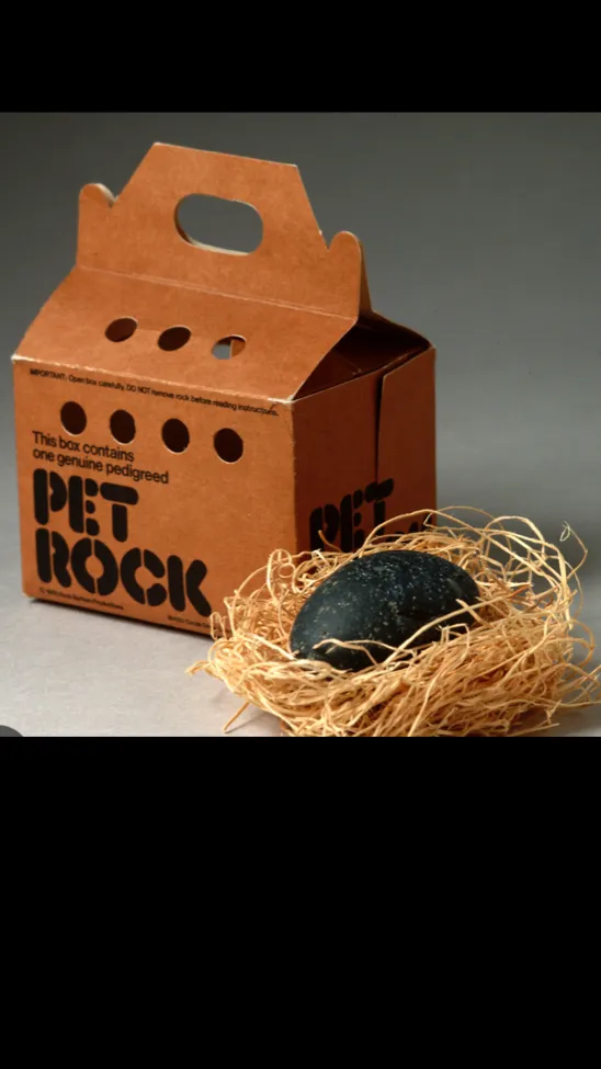 ai character: Your pet rock background