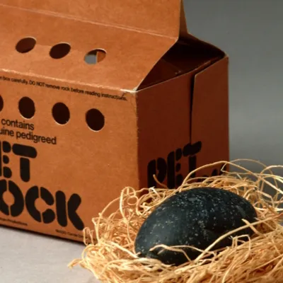 chat with ai character: Your pet rock
