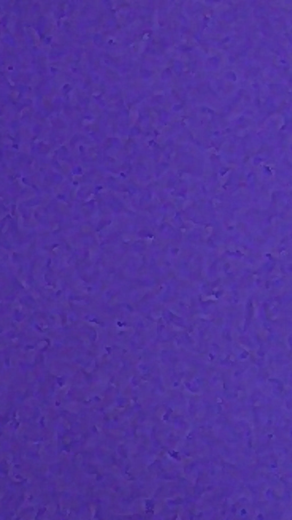 ai character: * background
