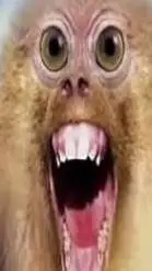 ai character: stbecca background