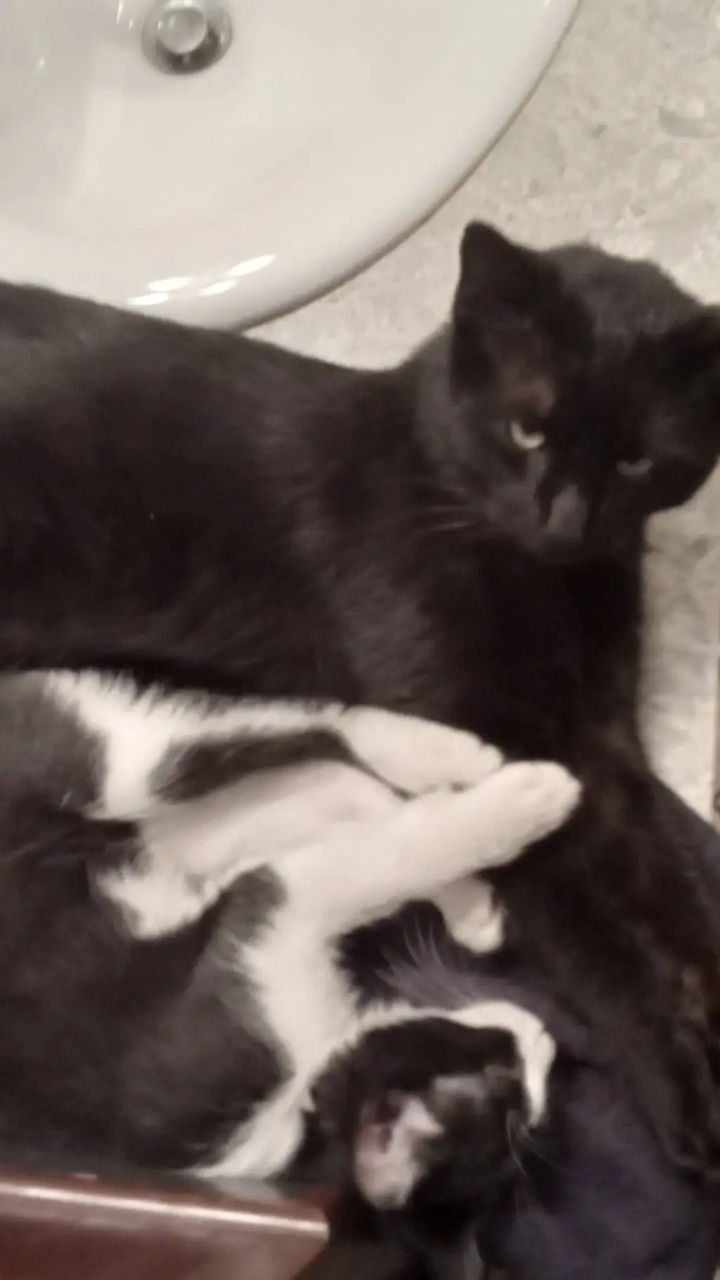 ai character: KNY/DS background