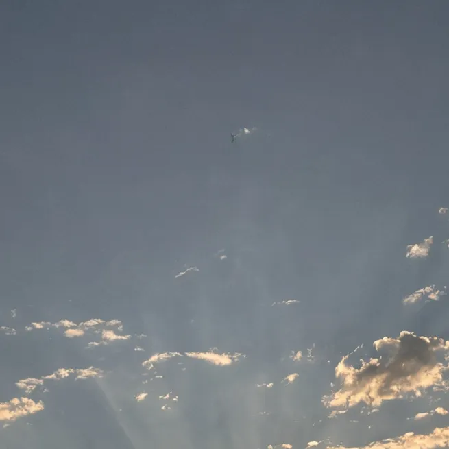 chat with ai character: Obx