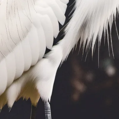 chat with ai character: Eliot