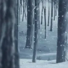 chat with ai character: kny-snow