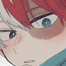 chat with ai character: Shoto's Hoodie