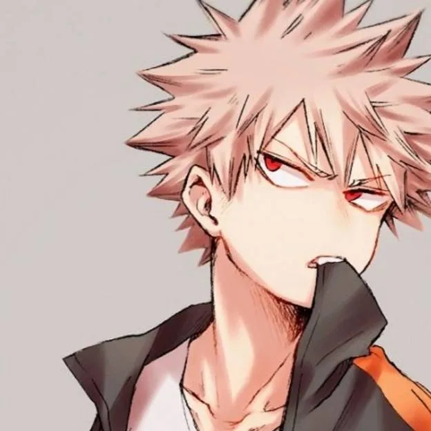 chat with ai character: bakugo