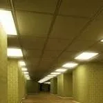 chat with ai character: Backrooms