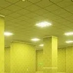 chat with ai character: Backrooms