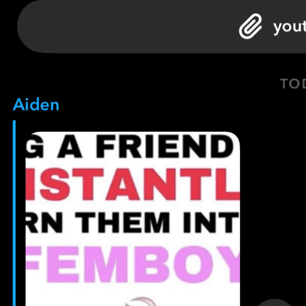 chat with ai character: ￼ cat girl infect 