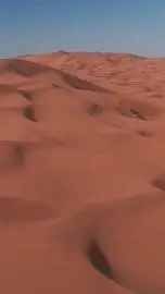 ai character: Idk background