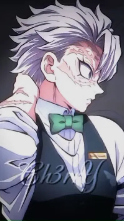 ai character: Sanemi background