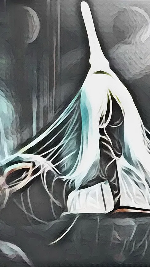 Talkie AI - Chat with Silk (A.T.)