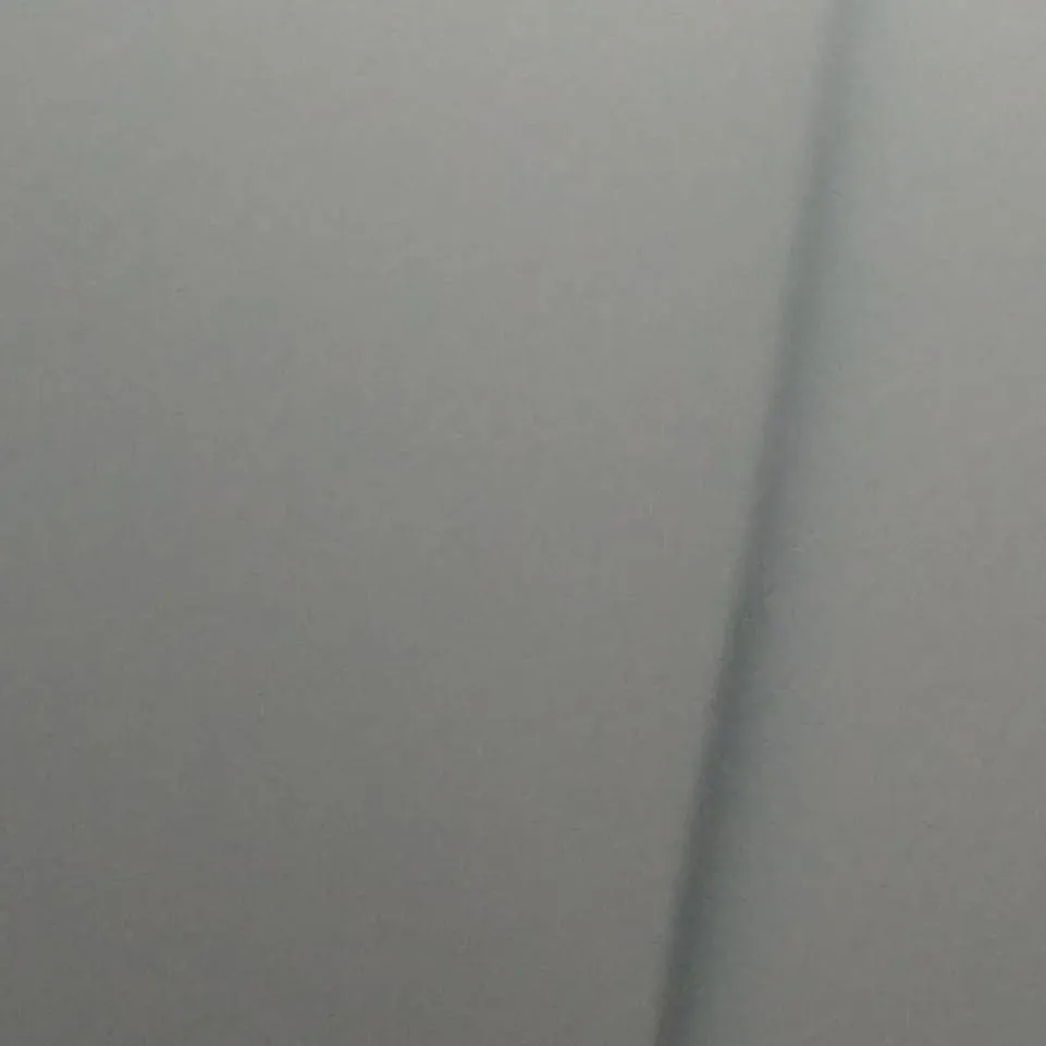 chat with ai character: shuckies 6