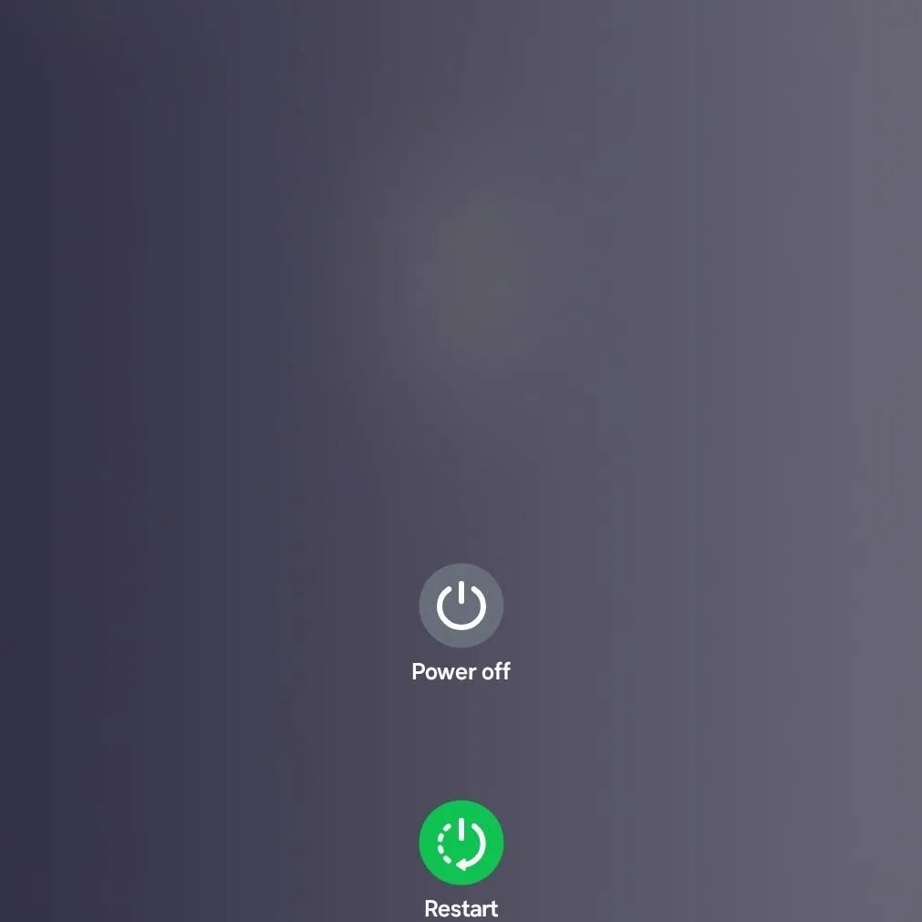 chat with ai character: shuckies 8