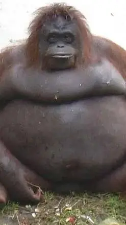 ai character: monke background