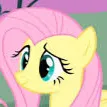 chat with ai character: Fluttershy