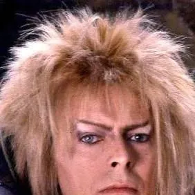 chat with ai character: Jareth