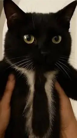 ai character: Bob background