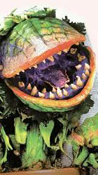 ai character: Audrey 2 background