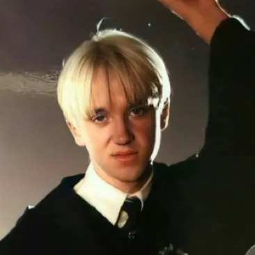 chat with ai character: Draco Malfoy