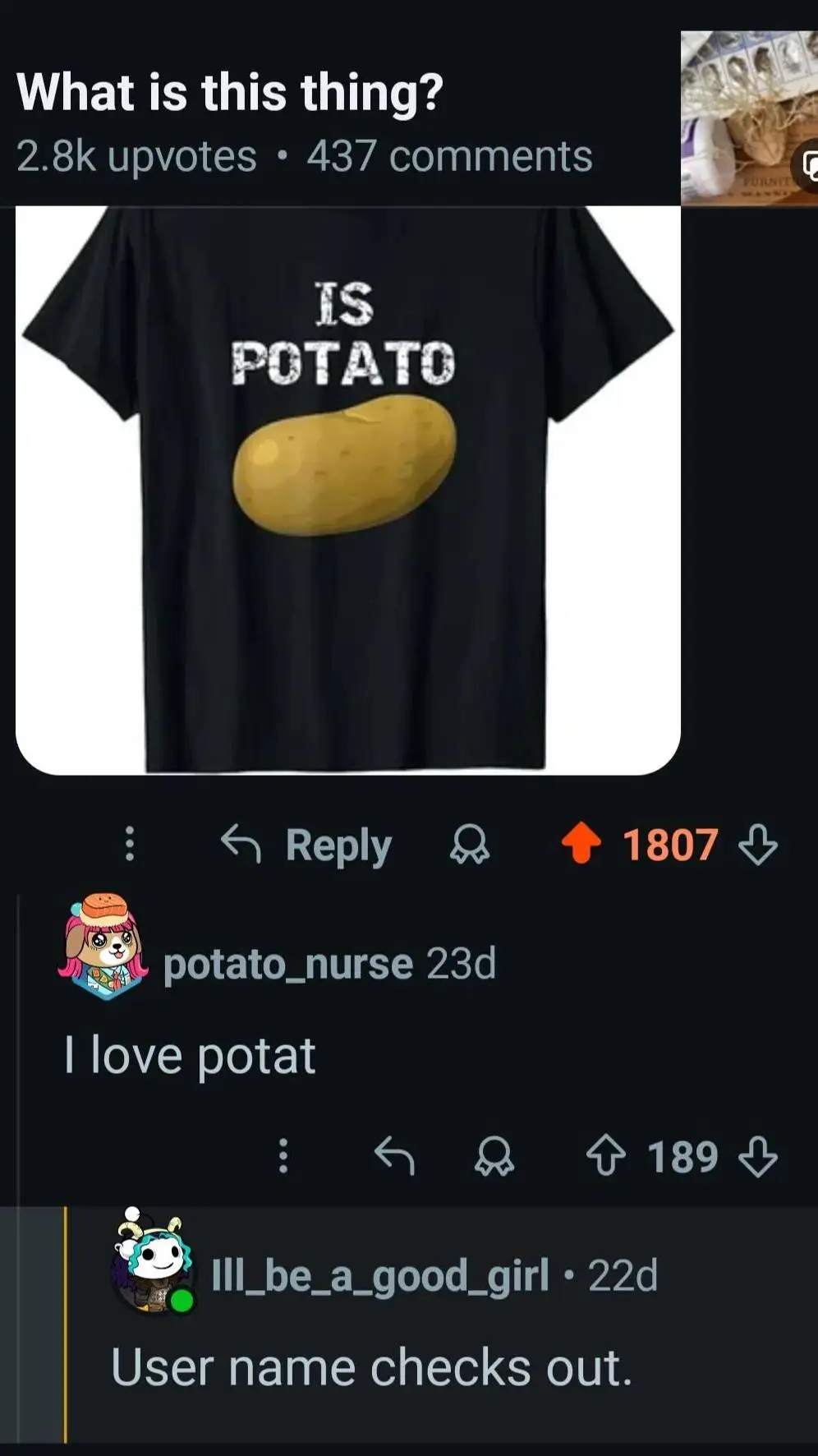 ai character: Ur A Cool Parasite background