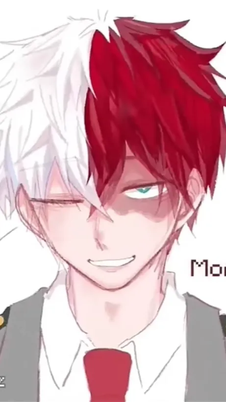 ai character: 🔥 todoroki ❄️ background
