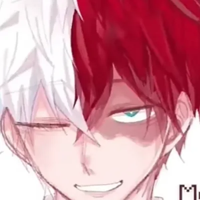 chat with ai character: 🔥 todoroki ❄️